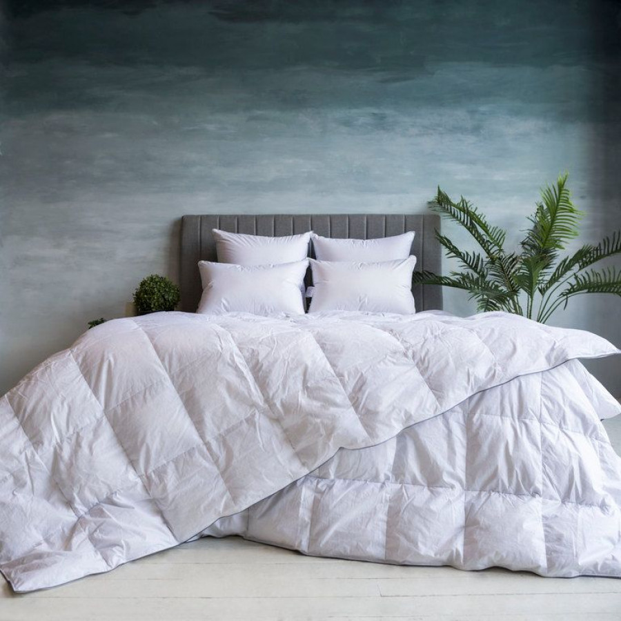 FDN-02242 Одеяло GRAY FAMILIE DOWN всесезонное 200х220